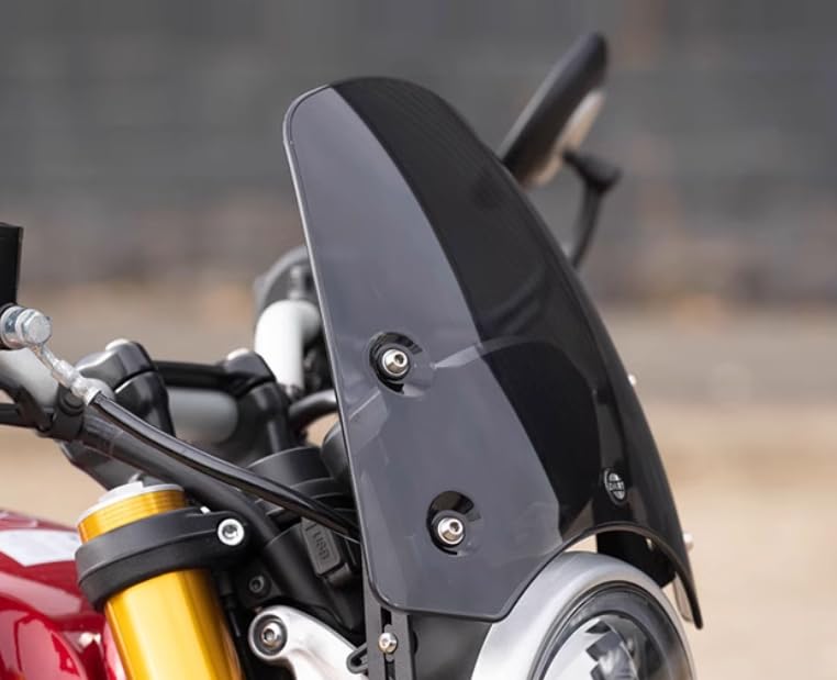 Amazon.co.jp: Aleyar スピード Scrambler 400x Speed 400 2024